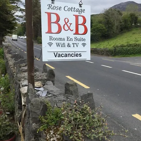 Rose Bed & Breakfast *