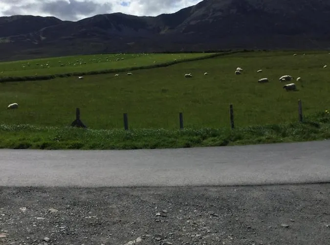 Rose Bed & Breakfast